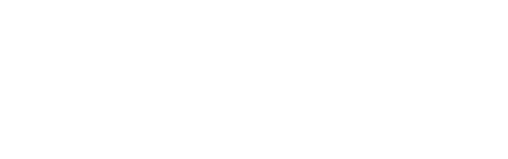 Digital Disruptors